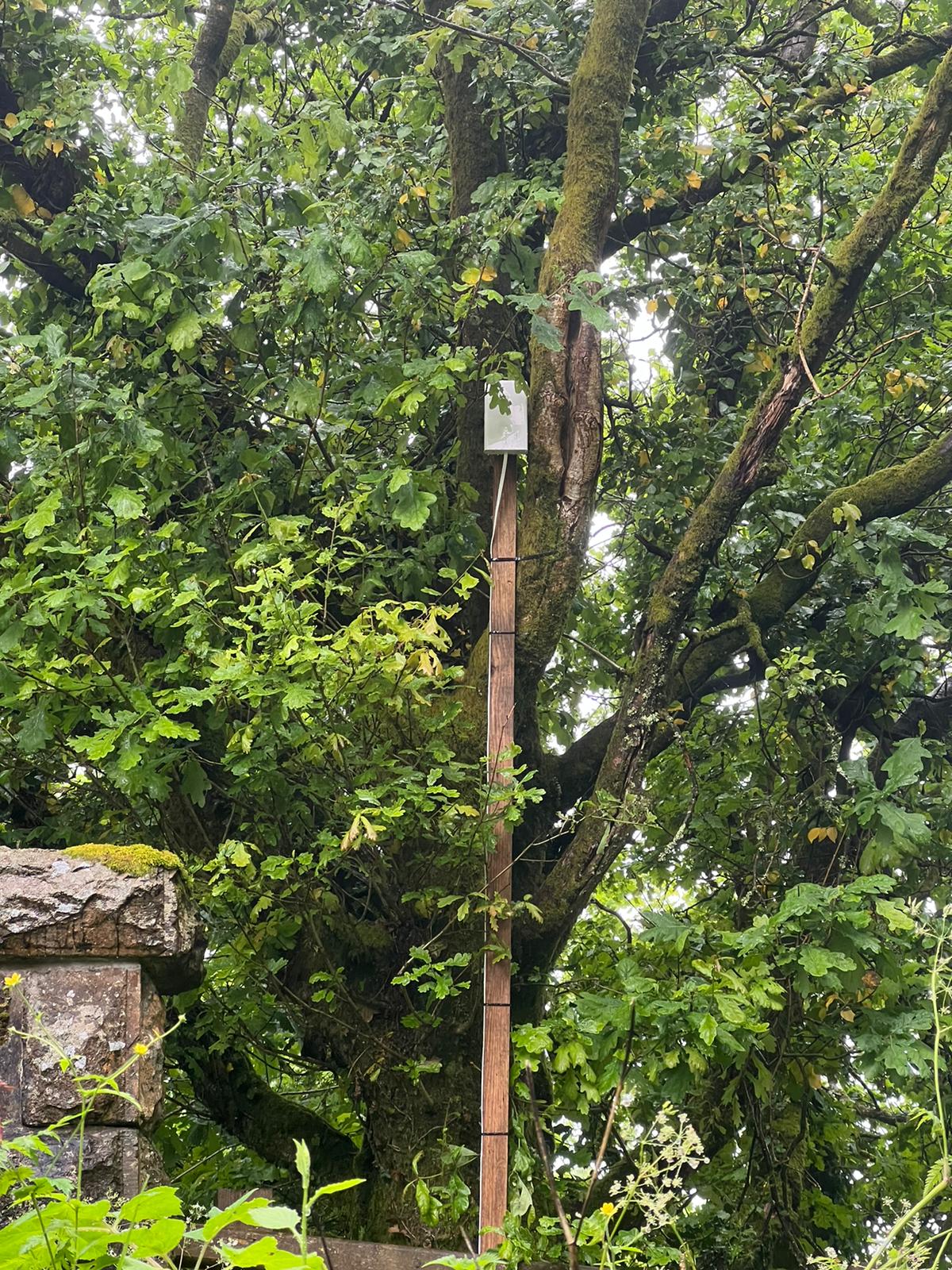 5G DIY mast